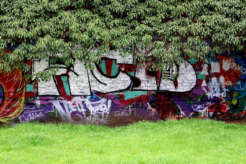 Graffiti Wall Art