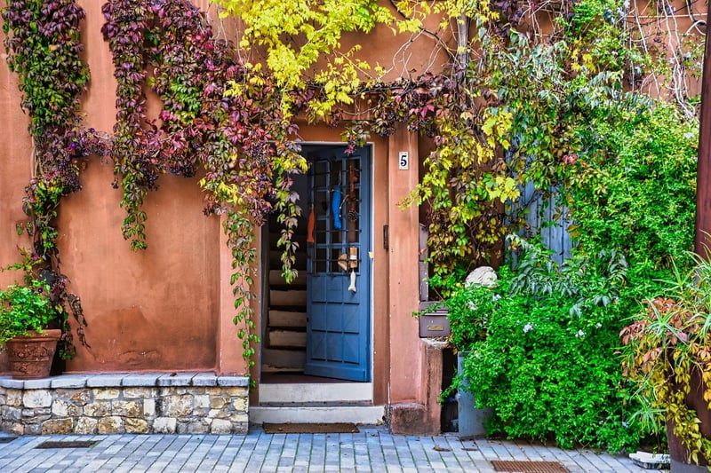Urban Greenery